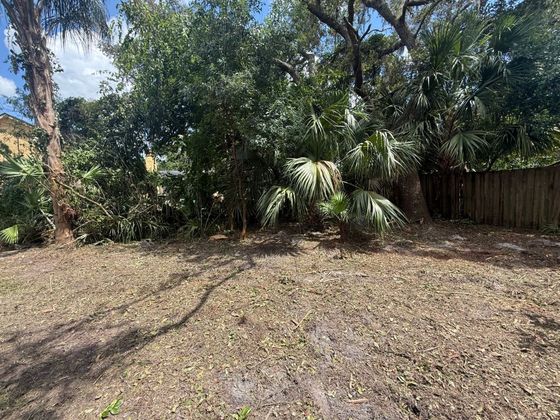 After: the ground cleared down to dirt and mulch, with the palms and trees still standing in front of the fence.